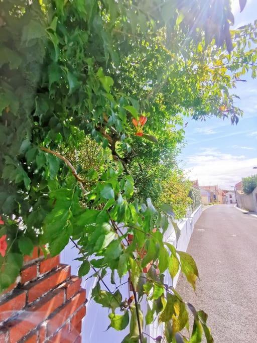 Villa Au Coin Fleuri La Bernerie-en-Retz Esterno foto