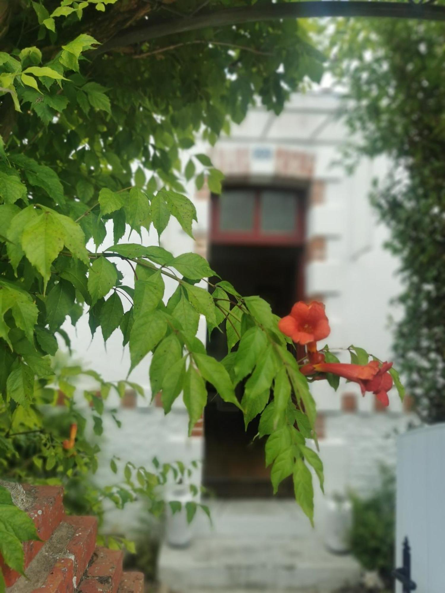Villa Au Coin Fleuri La Bernerie-en-Retz Esterno foto